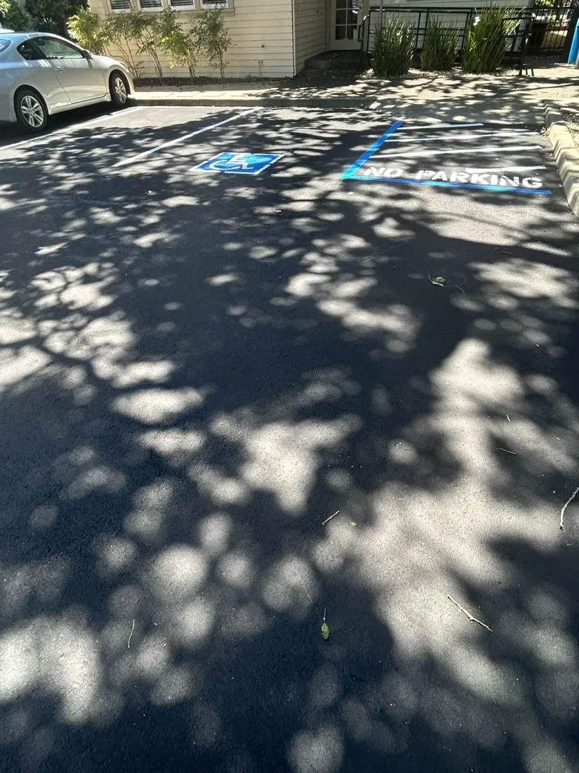 ADA stall and no parking zone stenciled in blue and white