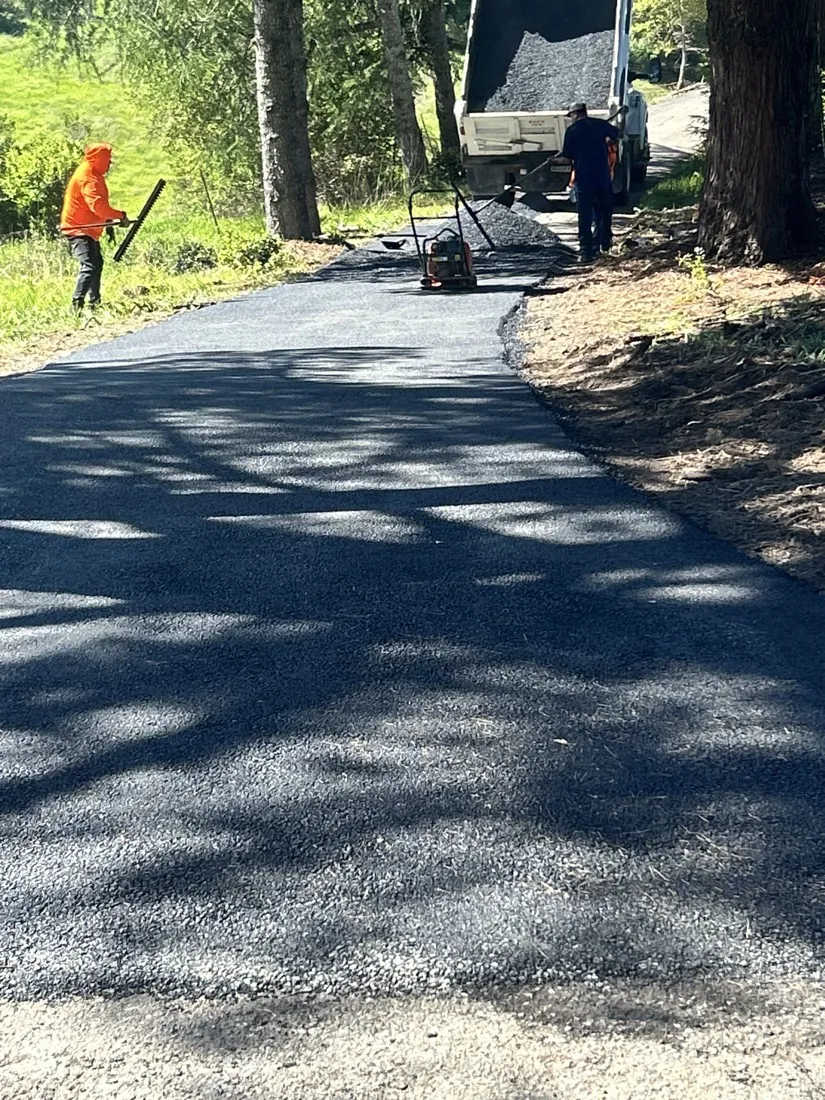 Repair & Patching in Petaluma, CA