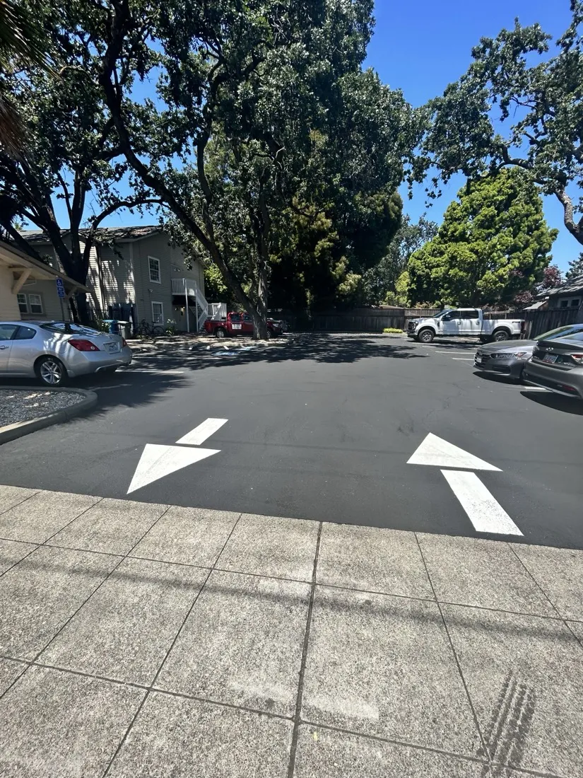 Repaved parking area with crisp white arrows