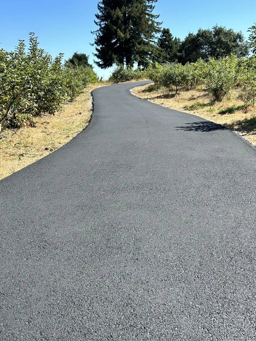New asphalt driveway curving through orchard country