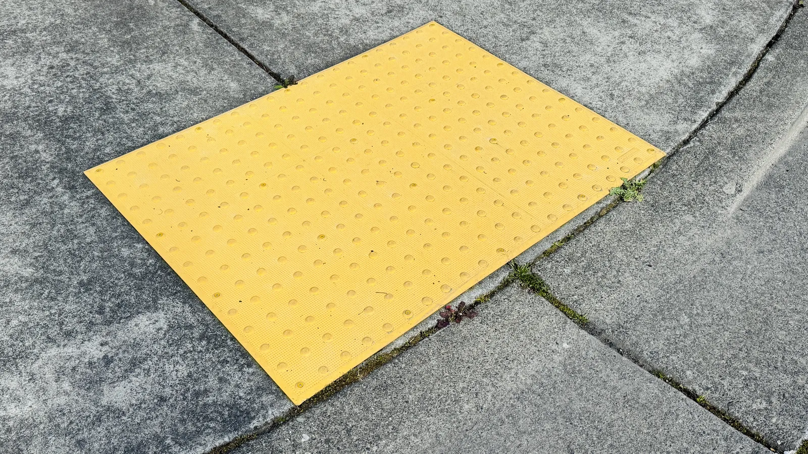 Yellow detectable warning panel of raised truncated domes set into a concrete sidewalk